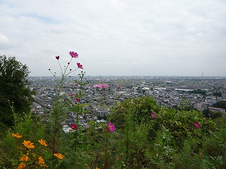 f0106664_703321.jpg
