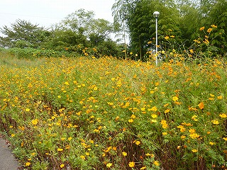 f0106664_71823.jpg