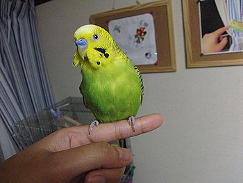 f0196665_1354516.jpg