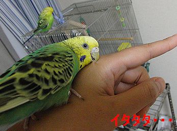 f0196665_215563.jpg