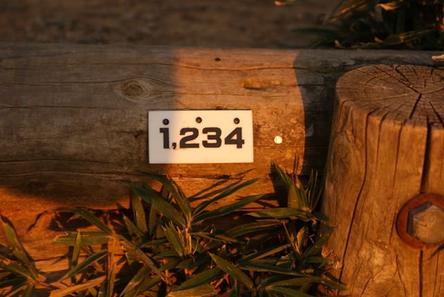 a0091666_22135521.jpg