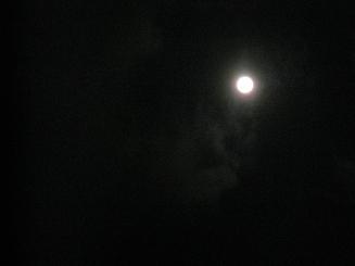 f0146466_1115890.jpg