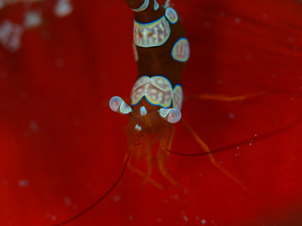 b0138768_21291471.jpg