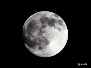 f0104569_1325328.gif