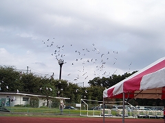 b0133870_18533352.jpg