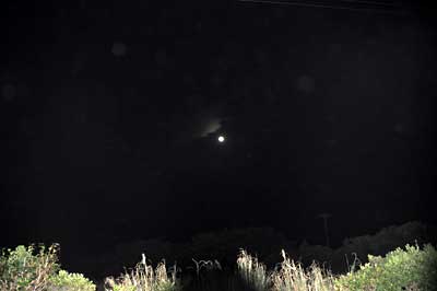 e0097770_2248136.jpg
