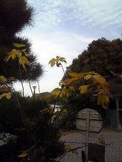 f0177670_5582087.jpg