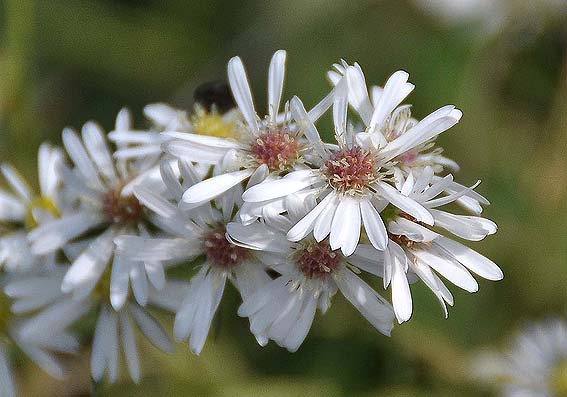 f0198771_0474626.jpg