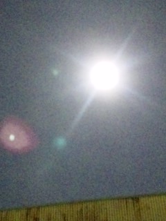 d0109373_22161292.jpg