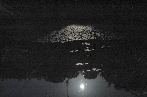 c0022275_16334265.jpg