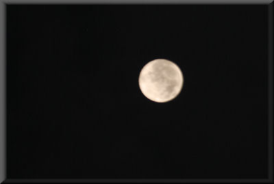 e0099375_11295343.jpg