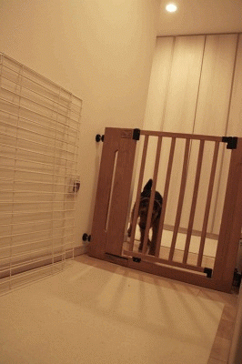 a0035678_2373215.gif