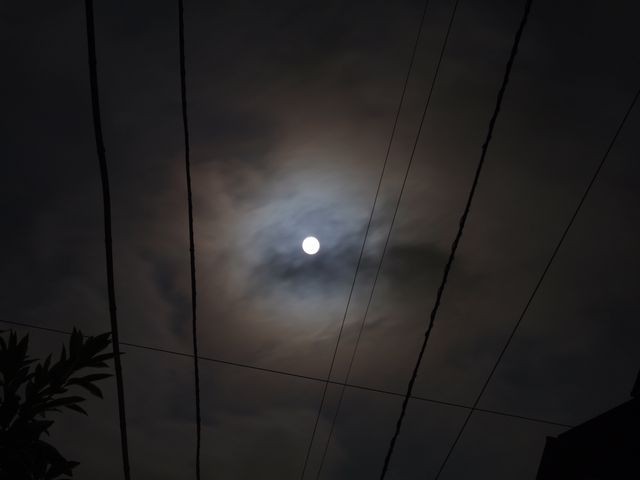 a0009079_1027598.jpg