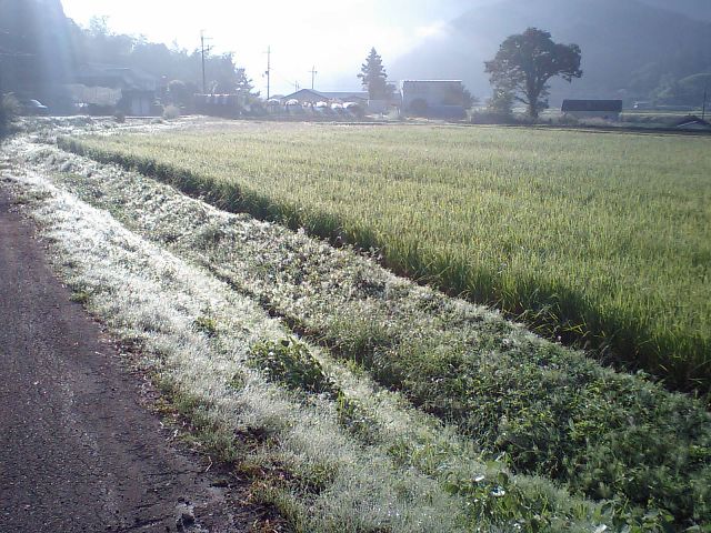 b0042882_10134949.jpg