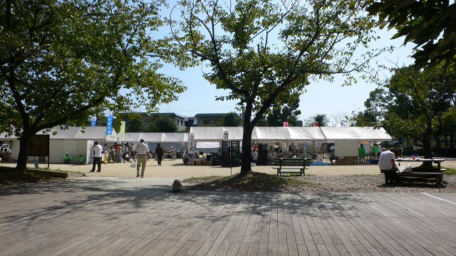 b0042882_1825352.jpg