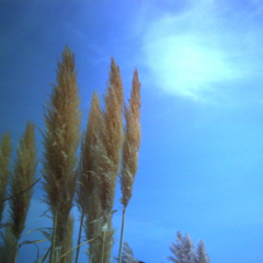 e0116383_14303129.jpg