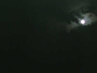 e0033384_10272332.jpg
