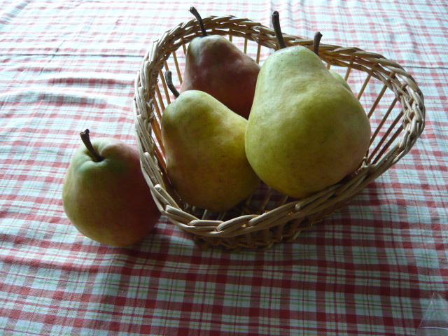 d0087091_9133012.jpg