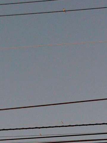 f0201191_1910147.jpg