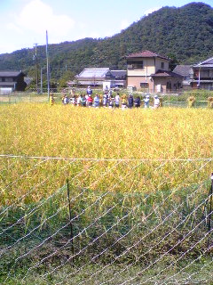 a0097592_23155424.jpg