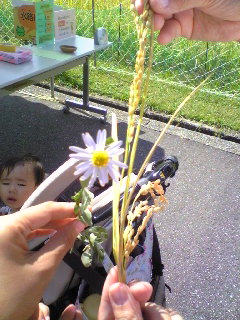 a0097592_23175899.jpg