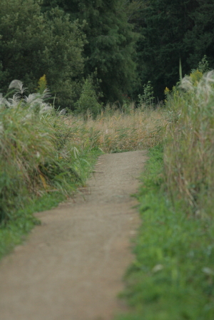 d0133693_224065.jpg