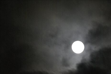 d0025894_0114049.jpg