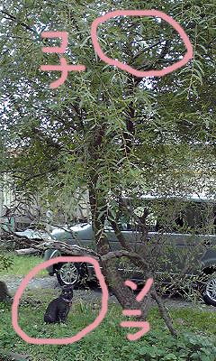 c0206596_21354622.jpg