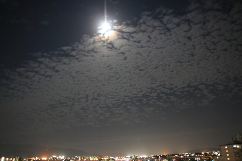 c0129498_23171540.jpg