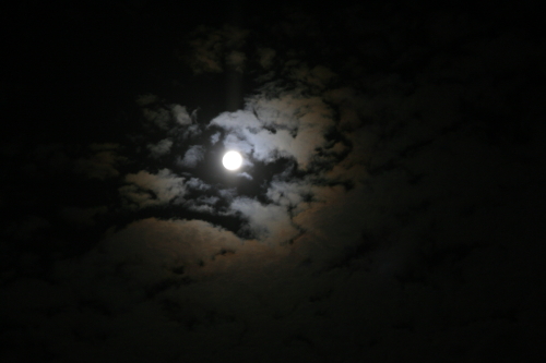 c0129498_23214493.jpg
