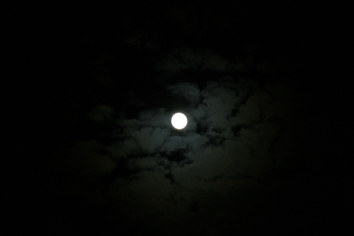c0129498_23215458.jpg