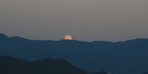 c0129498_2335459.jpg