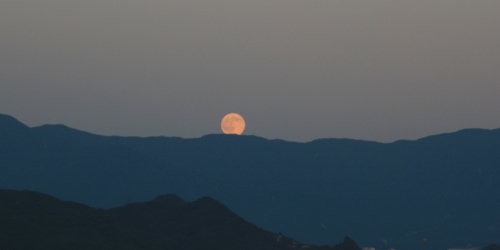 c0129498_2336345.jpg