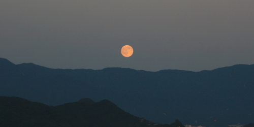 c0129498_2337067.jpg