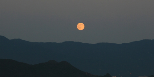 c0129498_23371054.jpg
