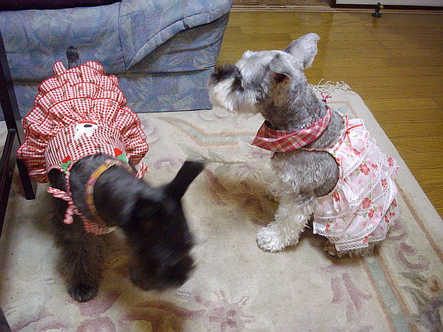 c0138198_10142887.jpg