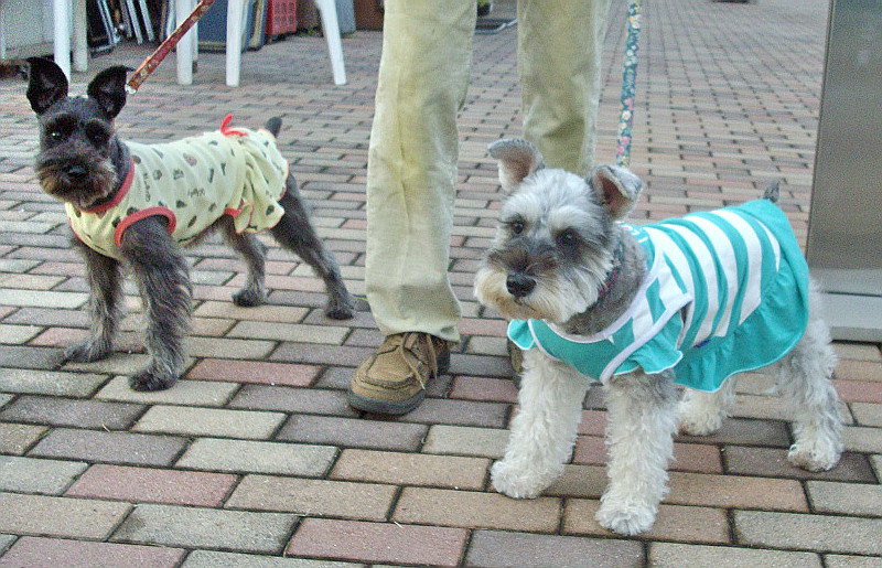 c0138198_10292856.jpg