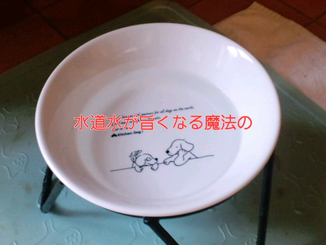e0130299_212719.jpg