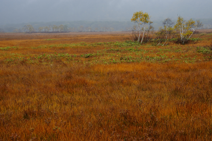 f0178900_2015128.jpg