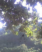 c0164401_151267.jpg