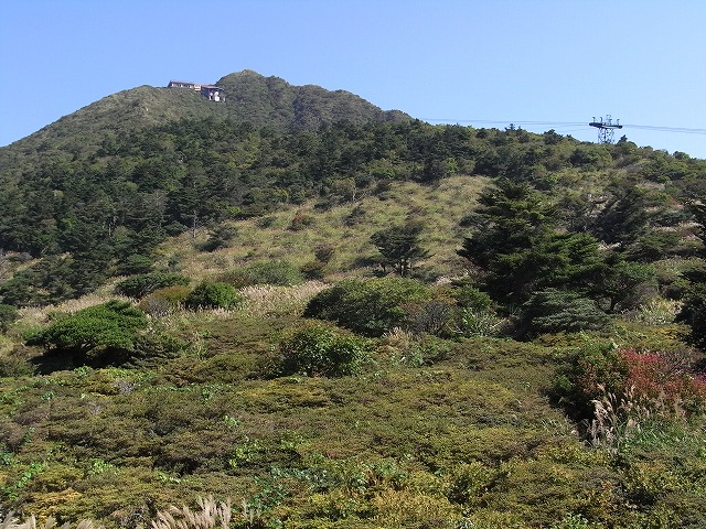 f0187402_2243356.jpg