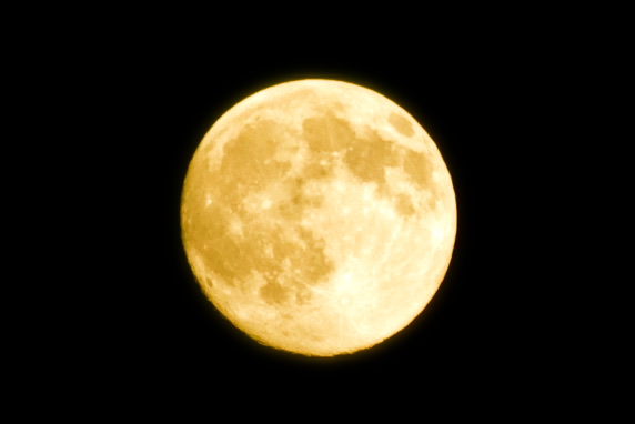 b0133504_1134833.jpg