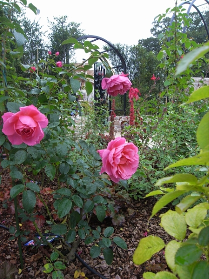 f0065604_19511840.jpg