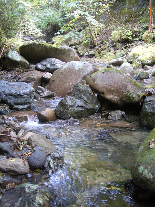b0172805_453347.jpg