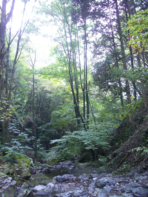 b0172805_4594895.jpg