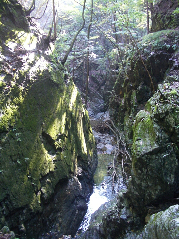 b0172805_522071.jpg