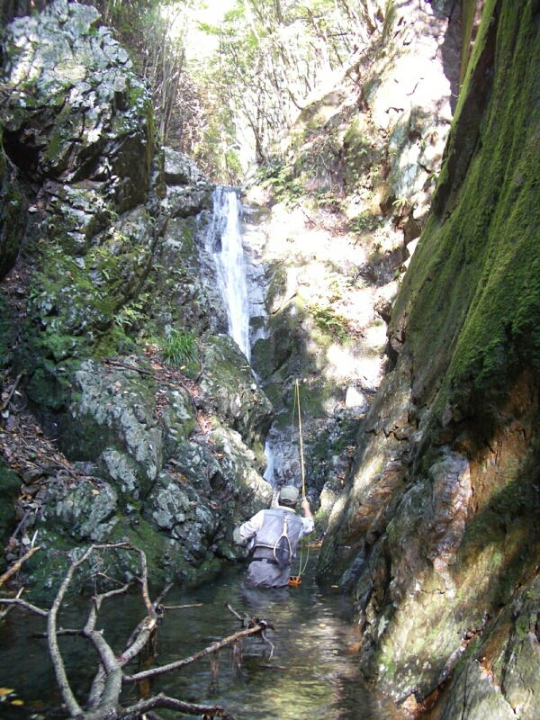b0172805_532330.jpg