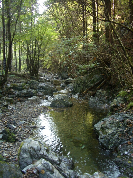 b0172805_5419100.jpg