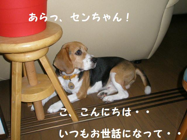 c0205806_17531945.jpg