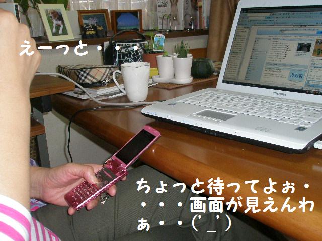c0205806_181553.jpg